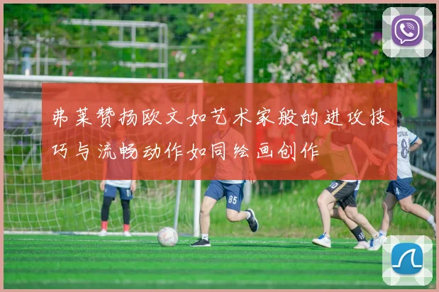 弗莱赞扬欧文如艺术家般的进攻技巧与流畅动作如同绘画创作