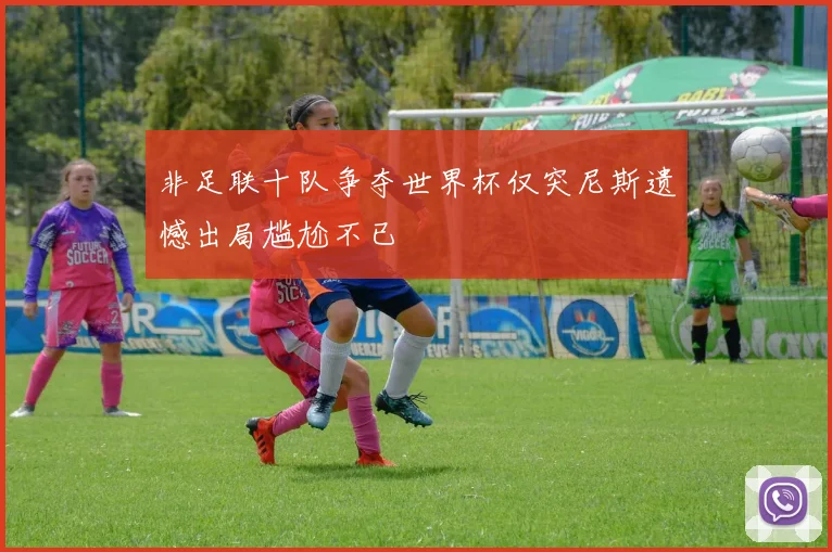 非足联十队争夺世界杯仅突尼斯遗憾出局尴尬不已